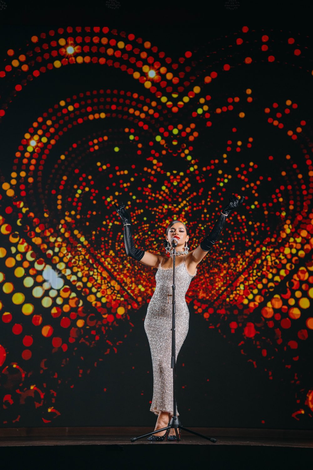 Singer performing at the New Year gala
